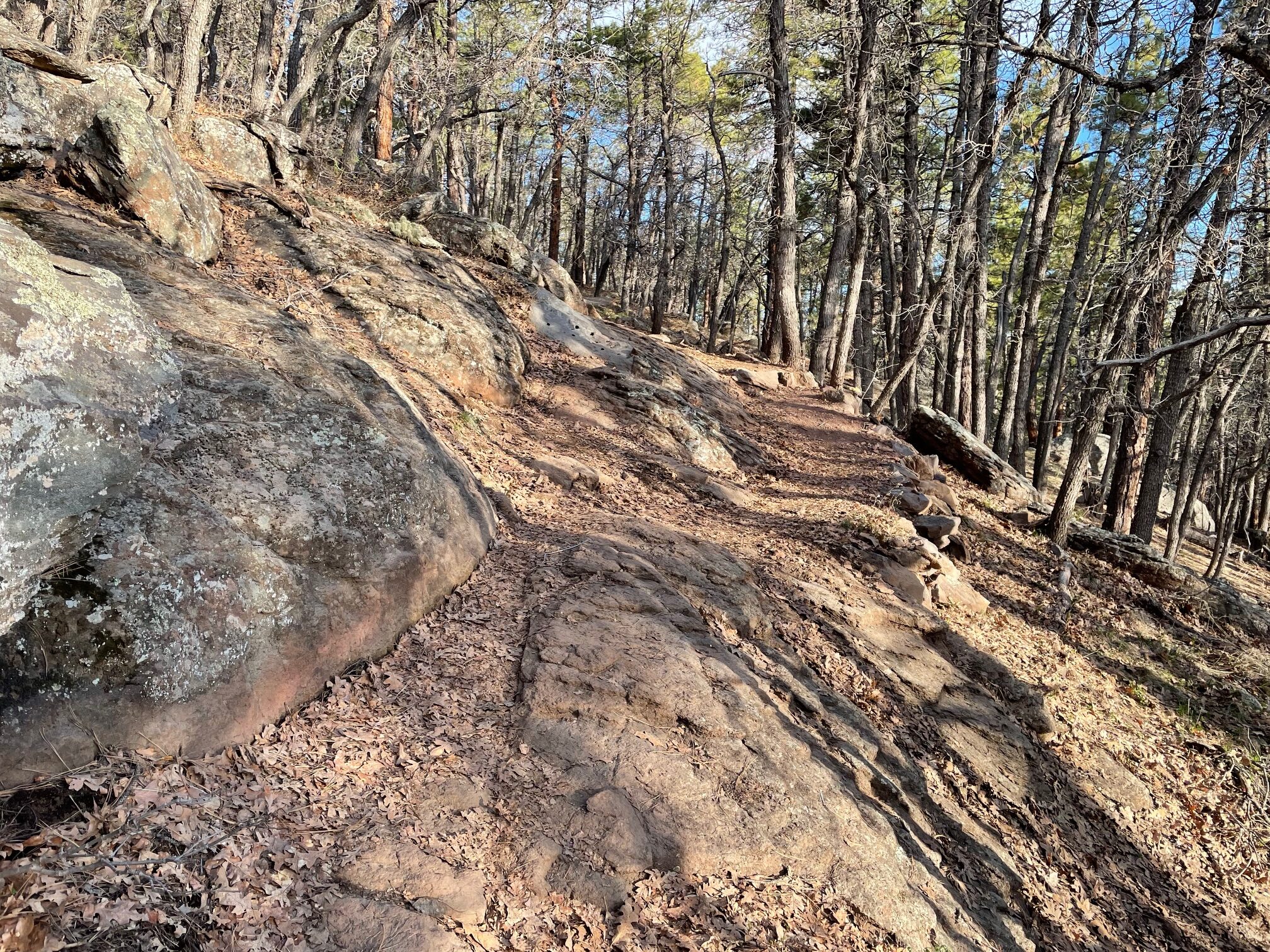 Trail Review: Rogers Trail/Woody Mountain Forest Road Loop