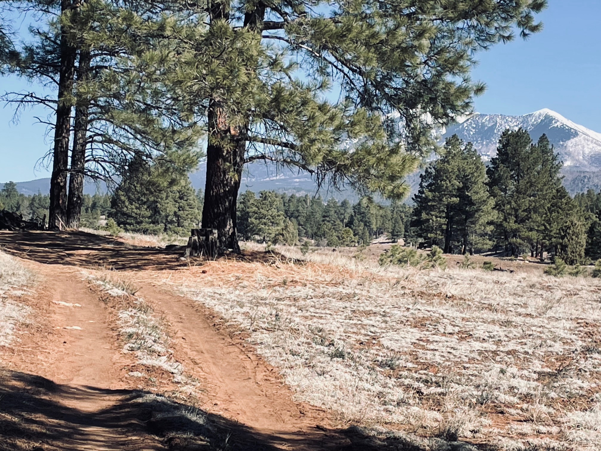 Trail Review: A Shortened ‘Bagel Run’ Loop Along Sinclair Wash and the AZT