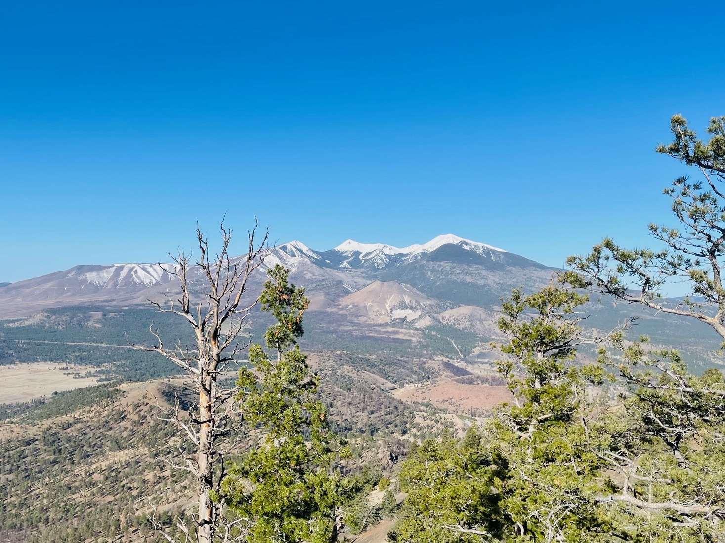 Trail Review: O’Leary Peak Outlook Trail