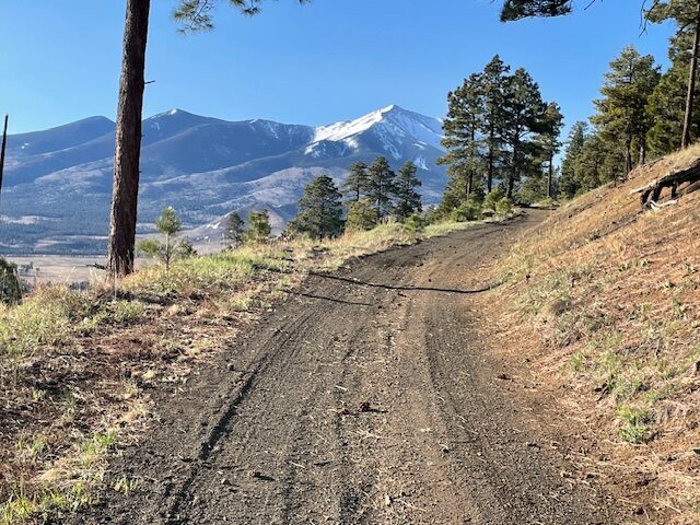 Trail Review: Saddle Mountain, Off of Highway 180