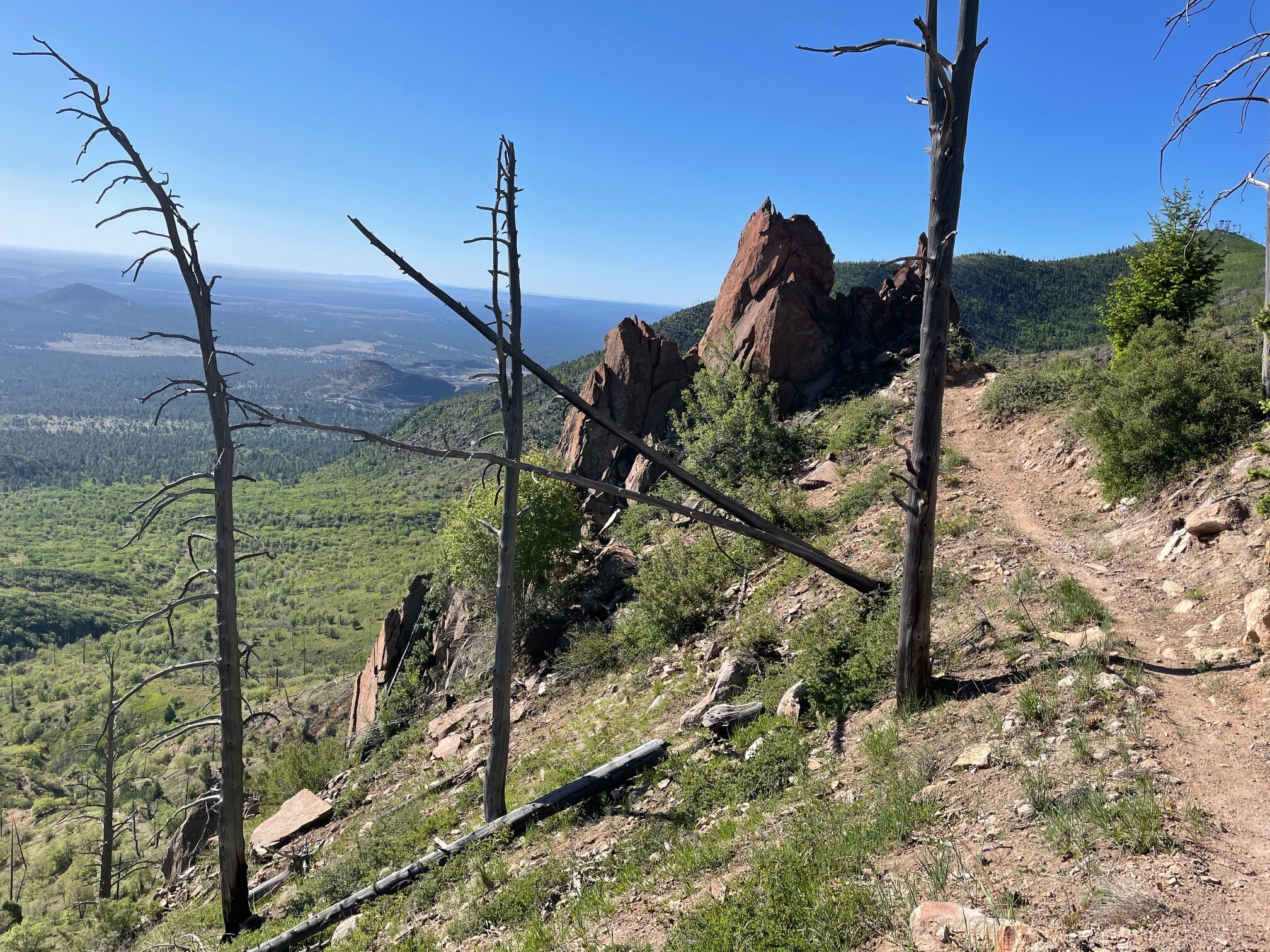 Trail Review: The “New” Heart Trail Climb on the North-East Slopes of Mt. Elden