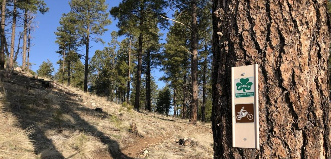 Trail of the Week: Kelly Trail System, 10 Miles