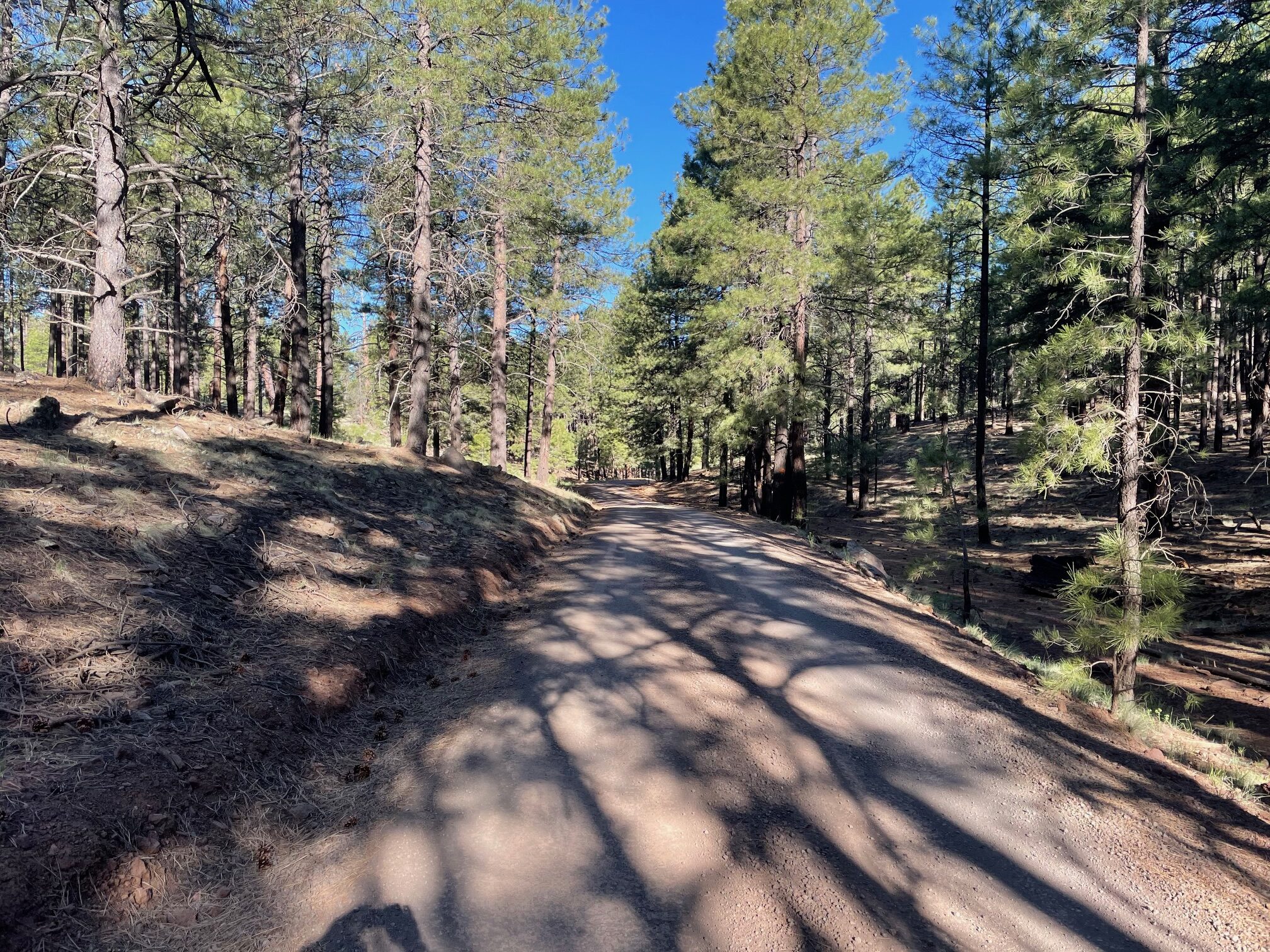 Trail Review: 10.2-Mile Wing Mountain Loop