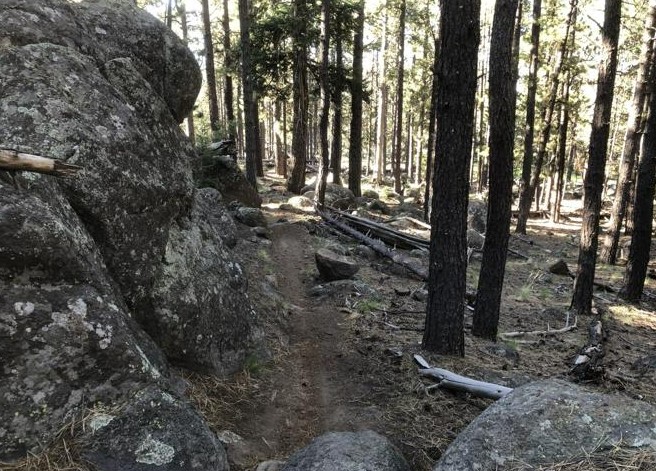 Trail of the Week: An 11-Mile Loop on Rocky Moto, the Secret Trail and the AZT