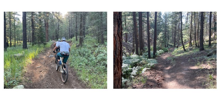 Trail of the Week: Schultz Creek to Secret to AZT, Back to Schultz, 11 Miles