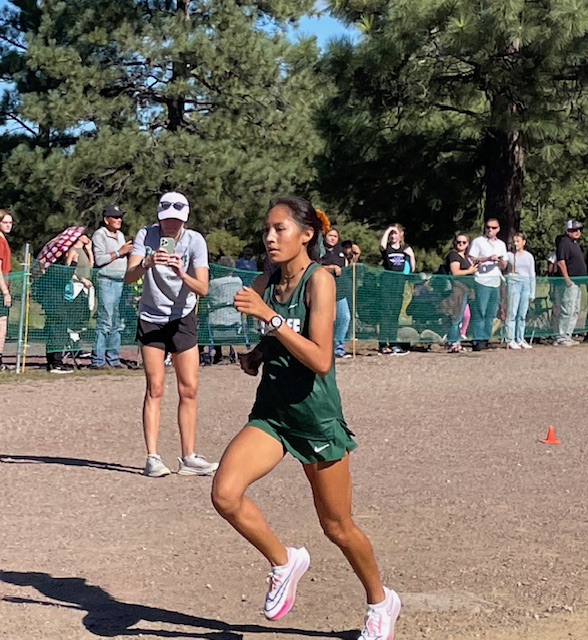 Prep Results: Perfect 15 for Flagstaff Girls; Boys Also Cruise to Victory in Payson