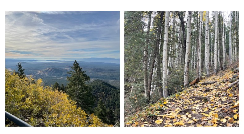 Trail of the Week: Bill Williams Mountain, 7.7-Mile Roundtrip